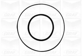 GRAF Water Pump, engine cooling (PA1056)