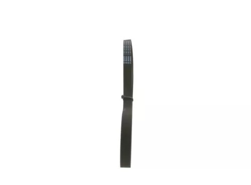 BOSCH V-ribbed Belt (1987947939)