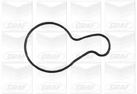 GRAF Water Pump, engine cooling (PA688)