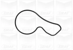 GRAF Water Pump, engine cooling (PA1092)