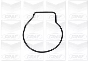 GRAF Water Pump, engine cooling (PA669)