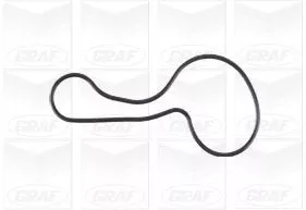 GRAF Water Pump, engine cooling (PA1119)