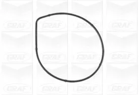 GRAF Water Pump, engine cooling (PA1072)