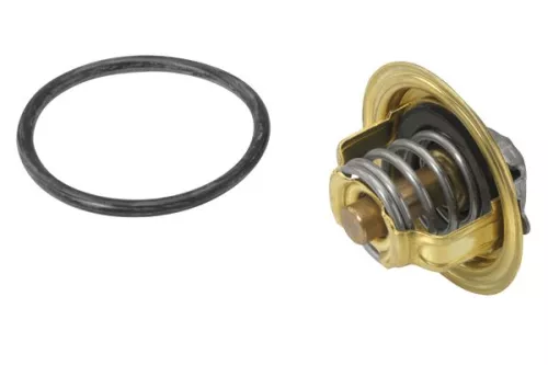 BorgWarner (Wahler) Thermostat, coolant (410537.92D)