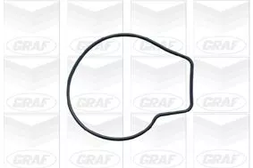 GRAF Water Pump, engine cooling (PA428)