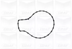 GRAF Water Pump, engine cooling (PA1134)