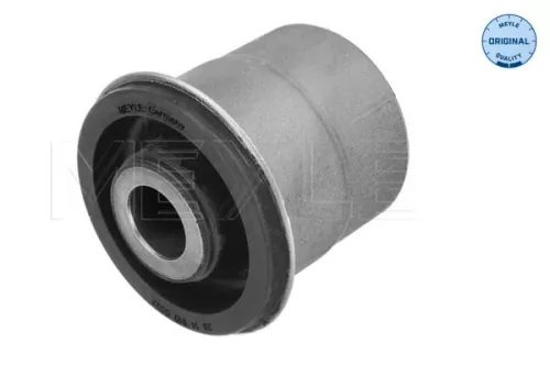 Mounting, control/trailing arm