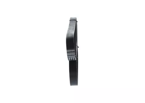BOSCH V-ribbed Belt (1987946256)