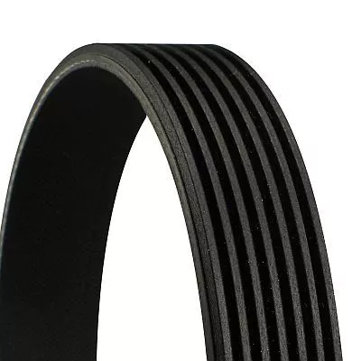 CONTINENTAL CTAM V-ribbed Belt (7PK2000)