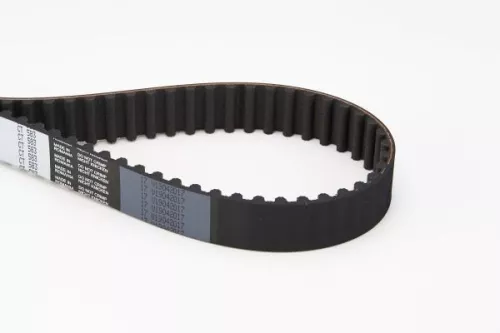 Timing Belt
