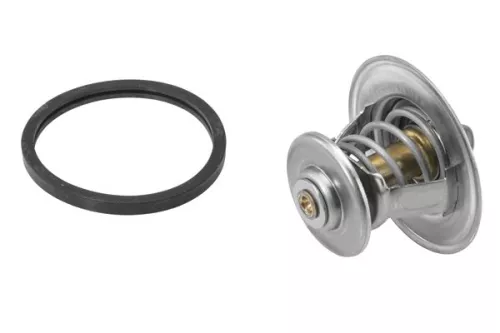 BorgWarner (Wahler) Thermostat, coolant (4115.92D)