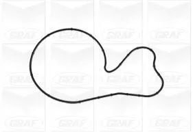 GRAF Water Pump, engine cooling (PA1202)