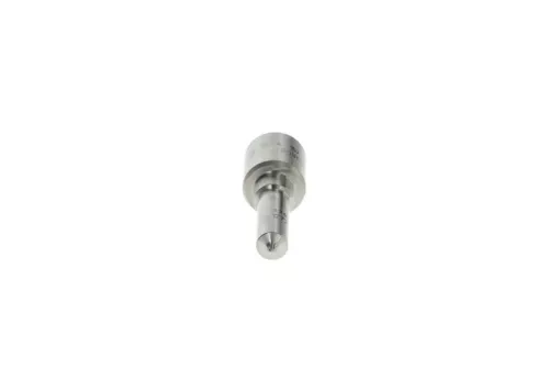 BOSCH Nozzle (0433172084)