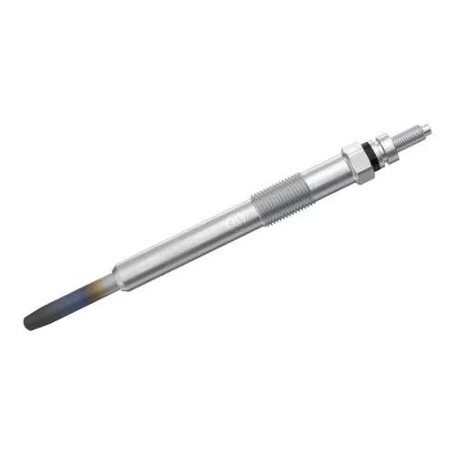 BOSCH Glow Plug (0250202048)