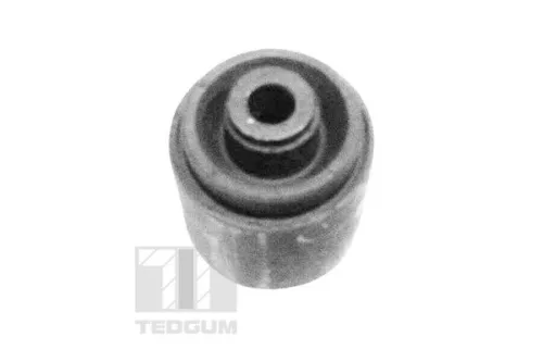 TEDGUM Mounting, control/trailing arm (00089758)
