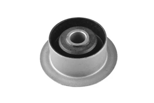 Mounting, leaf spring