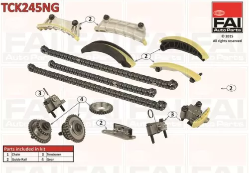 FAI AutoParts Timing Chain Kit (TCK245NG)
