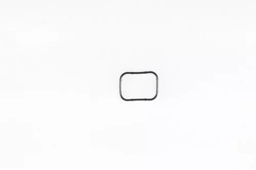 Gasket, intake manifold