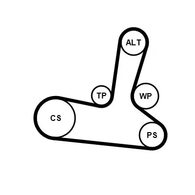 CONTINENTAL CTAM V-ribbed Belt Set (5PK1300K1)