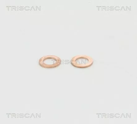 TRISCAN Brake Hose (815011105)