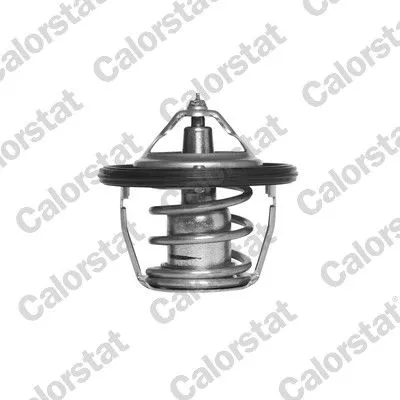 Thermostat, coolant
