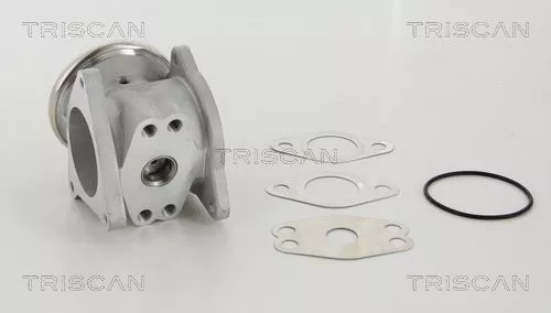 TRISCAN EGR Valve (881329111)