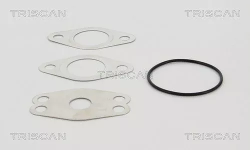 TRISCAN EGR Valve (881329111)