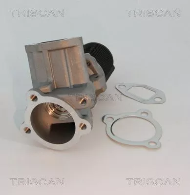 TRISCAN EGR Valve (881310003)