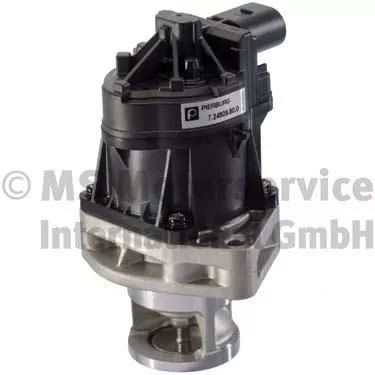 EGR Valve
