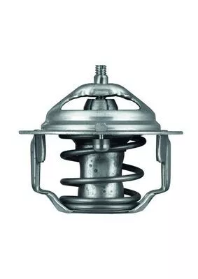 MAHLE Thermostat, coolant (TX6488)