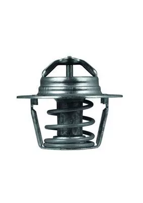 MAHLE Thermostat, coolant (TX9189D)