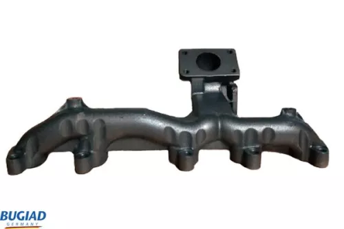 Manifold, exhaust system