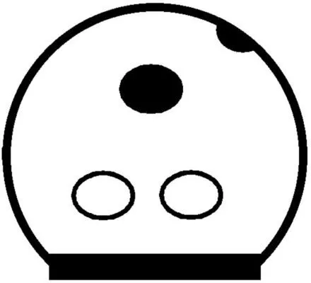 MAHLE Compressor, air conditioning (ACP818000S)