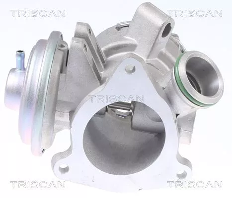 TRISCAN EGR Valve (881323032)