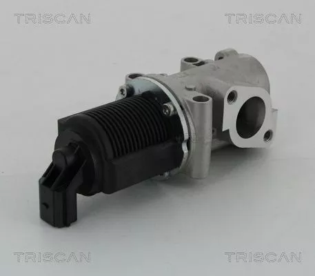 TRISCAN EGR Valve (881315032)