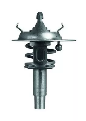 MAHLE Thermostat, coolant (TX10690D)