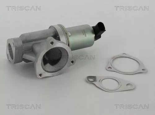 TRISCAN EGR Valve (881343002)