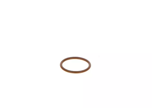 BOSCH Seal Ring (F00VP01005)