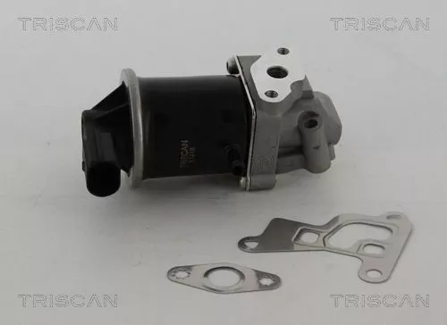 TRISCAN EGR Valve (881329100)