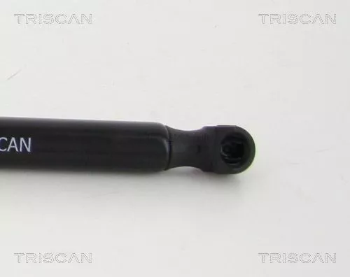 TRISCAN Gas Spring, boot/cargo area (871038239)