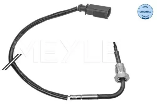 Sensor, exhaust gas temperature