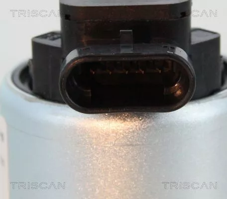 TRISCAN EGR Valve (881328008)