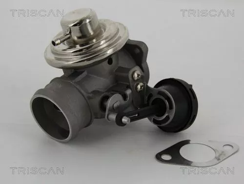 TRISCAN EGR Valve (881329057)