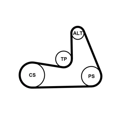 CONTINENTAL CTAM V-ribbed Belt Set (5PK1121EXTRAK1)