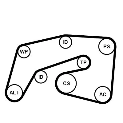 CONTINENTAL CTAM V-ribbed Belt Set (7PK2035K1)