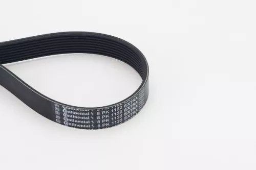 V-ribbed Belt