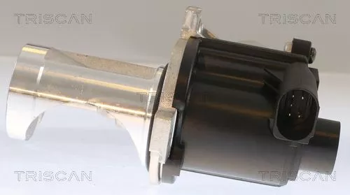 TRISCAN EGR Valve (881329101)