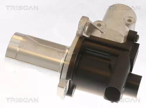 TRISCAN EGR Valve (881329101)