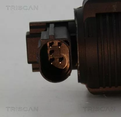 TRISCAN EGR Valve (881325038)