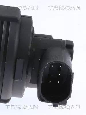 TRISCAN EGR Valve (881329009)